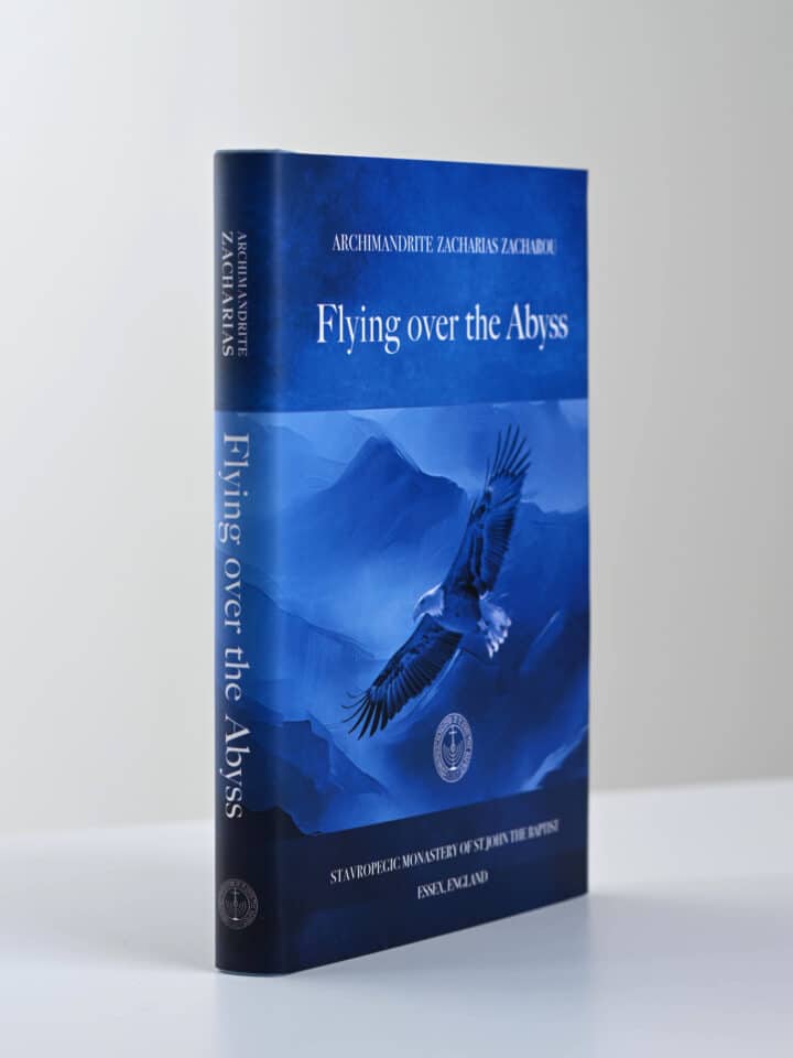 Flying over the Abyss 3D gallery image