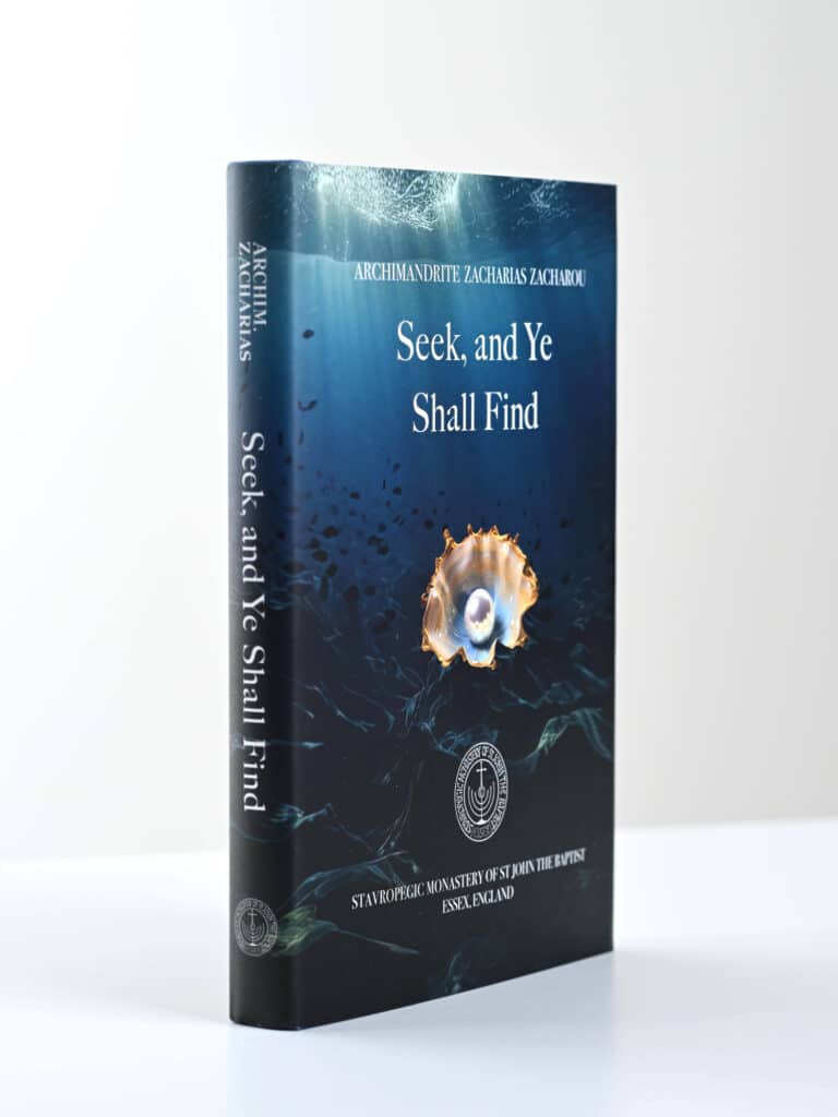 Seek and Ye Shall Find 3D gallery image