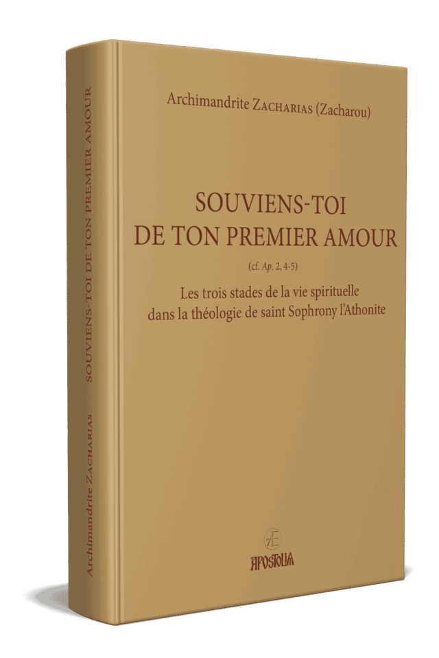 Souviens-toi de ton premier amour